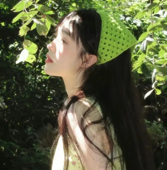 叛谍档案